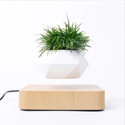 Levitating Flower Pot