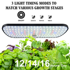 This 12-pod hydroponic garden lets you grow fresh herbs, vegetables, and greens indoors year-round without soil.