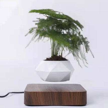Levitating Flower Pot