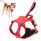 M / Red
