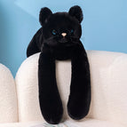 black cat yl