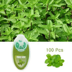 Power Mint