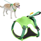 M / Green