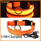 XS Neck 28-38 CM / Orange