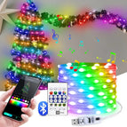 5M50LEDS