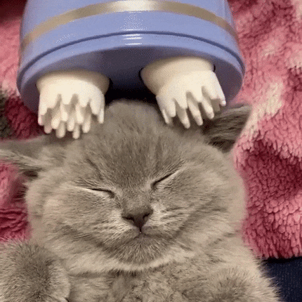 Electric Cat Massager