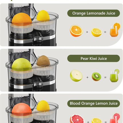 Dual Head Electric Juicer