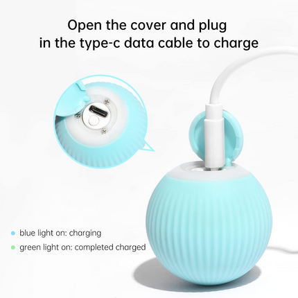 Rolling Ball Cat Toy