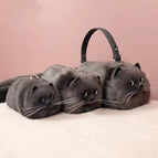 Small black cat