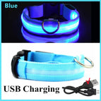 XS Neck 28-38 CM / Blue