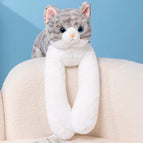 grey stripe cat yl