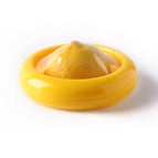 Onion