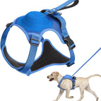 M / Blue