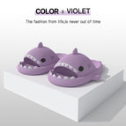 36/37 / purple